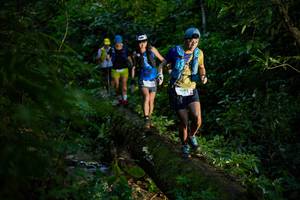 BIB: 9602
                            <button type="button" onclick="openModal(18921692)" class="btn btn-primary btn-sm float-right btn-popup" data-toggle="modal" data-target=".modal-high-quality">
                        <i class="fas fa-shopping-cart"></i> Add to Cart
                    </button>
                                            <button type="button" onclick="isThisMe(18921692, true)" class="btn btn-success btn-sm float-right btn-popup btn-isme hidden" data-toggle="tooltip" data-placement="bottom" title="นี่คือรูปของคุณใช่ไหม คลิกที่นี่เพื่อเอาเข้าอัลบั้ม">
                        <i class="fas fa-plus"></i> Add to album
                    </button>
                    <button type="button" onclick="isThisMe(18921692, false)" class="btn btn-warning btn-sm float-right btn-popup btn-isnotme hidden">
                        <i class="fas fa-ban"></i> Remove from album
                    </button>